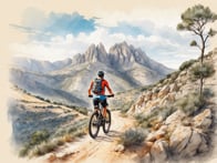 Die besten Tipps für den perfekten Einstieg ins Mountainbiken