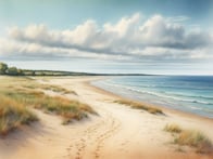 Entdecke die vielfältige Natur und Geschichte der Insel Wollin an der polnischen Ostsee.