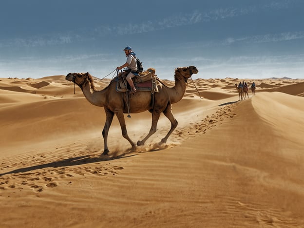 Auf dem Bild sieht man einen Abenteurer, der auf einem Kamel durch die Wüste reitet. Diese Aktivität ist eine traditionelle Art, die endlosen Sanddünen zu erkunden. Solche Kamelritte bieten nicht nur eine einmalige Gelegenheit, die atemberaubende Wüstenlandschaft zu genießen, sondern auch, die kulturellen Traditionen der region zu erleben. 

Zusätzlich zu Kamelritten gibt es viele weitere aufregende Aktivitäten in der Wüste, wie Sandboarding, das Erkunden von Oasen, nächtliche Wüstencampings unter dem Sternenhimmel oder das Fotografieren der spektakulären Sonnenuntergänge über den Dünen. Diese Erlebnisse bieten ein unvergessliches Abenteuer für Naturliebhaber und Abenteurer.