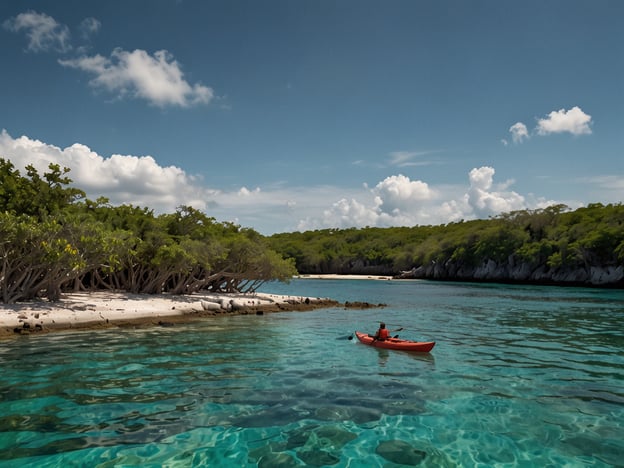 Auf dem Bild ist eine Person zu sehen, die in einem Kayak auf einem klaren Gewässer paddelt, umgeben von grünen Ufervegetationen und einer idyllischen Küstenlandschaft. Diese Szenerie ist ideal für verschiedene Abenteueraktivitäten in Nationalparks. 

Hier sind einige Aktivitäten für Abenteurer:

1. **Kajakfahren**: Die umliegenden Gewässer bieten hervorragende Möglichkeiten für Kajaktouren, um die Natur hautnah zu erleben.
2. **Vogelbeobachtung**: In den mangrovenbewachsenen Gebieten kann man eine Vielzahl von Vogelarten entdecken.
3. **Snorkeling**: In den klaren Gewässern lassen sich bunte Fische und andere Meereslebewesen beobachten.
4. **Wandern**: Entlang der Küstenlinie oder in den umliegenden Wäldern gibt es zahlreiche Wanderwege zu erkunden.
5. **Camping**: Übernachten in der Natur ermöglicht es, die Ruhe und Schönheit der Umgebung zu genießen.

Diese Aktivitäten eignen sich perfekt für Naturliebhaber und Abenteurer, die die Schönheit von Nationalparks erleben möchten.