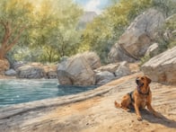 Entdecke die besten Tipps und Tricks, um deinen Vierbeiner sicher und entspannt mit in den Urlaub zu nehmen.
