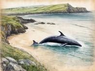 Entdecke die beeindruckenden Küsten von der Landseite aus und erlebe die sanften Riesen der Tiefen ganz nah – ohne je aufs Wasser zu gehen!